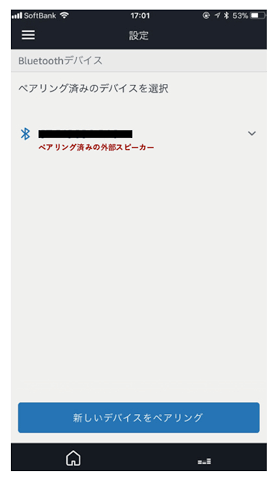 echo bluetooth