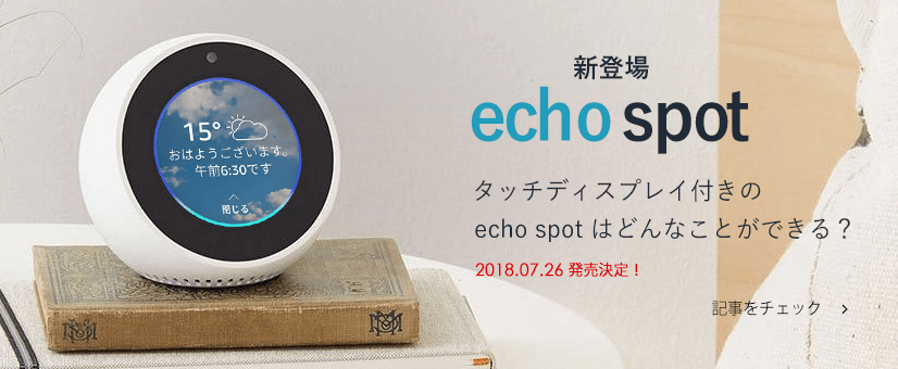 Echo spot