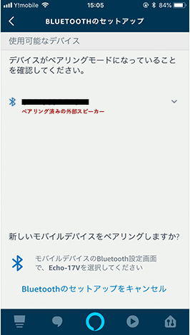 echo bluetooth
